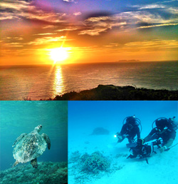 Ǯӵ47th Sony Aquarium(ˡꥦ)