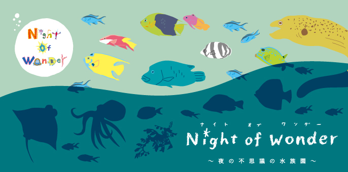 ǮӵNight of WonderԻ׵Ĥο²