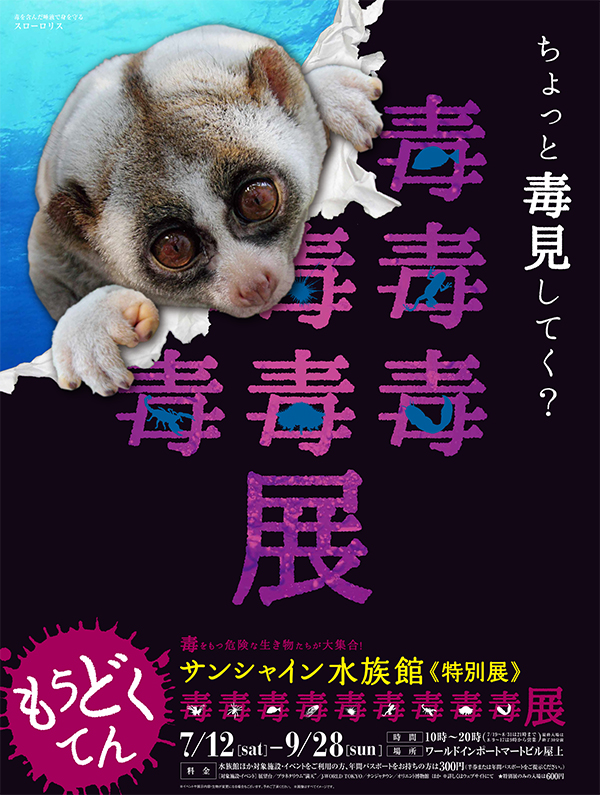 ǮӵŸ(⤦ɤŸ)