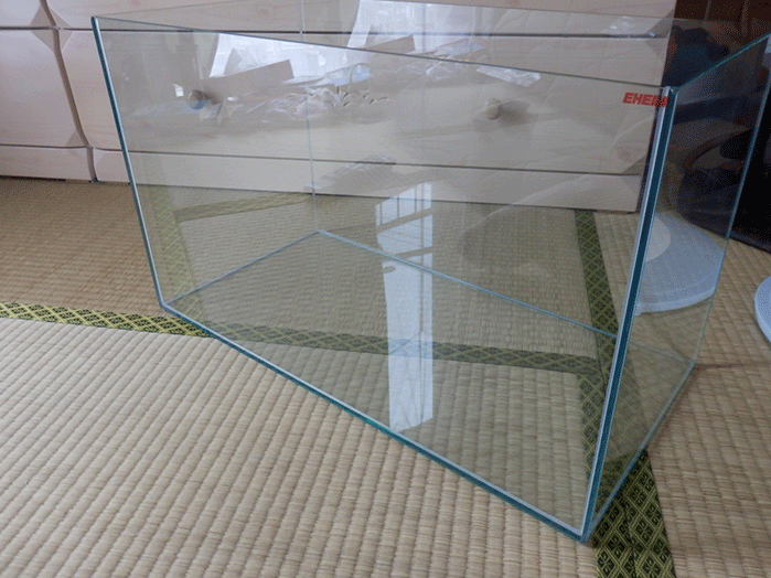 Ǯӵ60cmΩ夲Ƥߤ 1