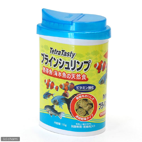 ǮӵΥƥȥ顡ơƥ֥饤󥷥ס