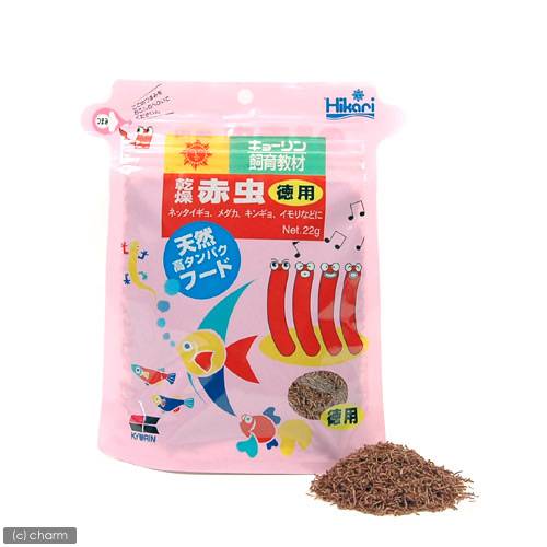 ǮӵΥ硼󡡴ʥॷˡѡ