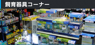 E アクア テイク
