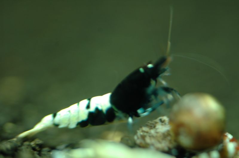 ǮӵAQUA BAY(٥)