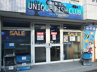 熱帯魚のユニークフィッシュクラブ