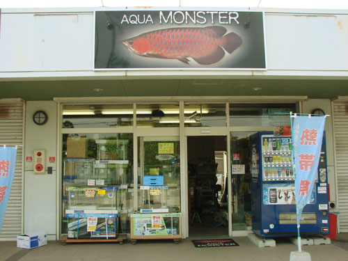 熱帯魚のアクア・モンスター