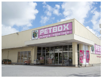 熱帯魚のPETBOX(ペットボックス)北谷店